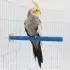 Băț de Ascuțit Gheare pentru Păsări