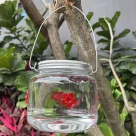 Adăpătoare decorativă pentru păsări de exterior