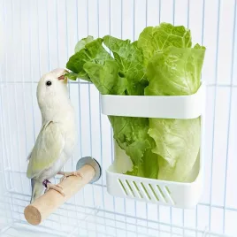 1 buc Bol de Depozitare Fructe și Legume pentru Păsări