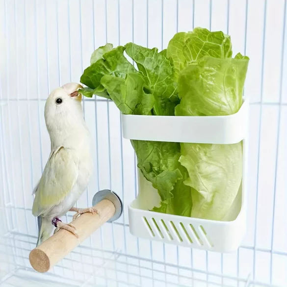 1 buc Bol de Depozitare Fructe și Legume pentru Păsări