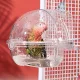 Cadă transparentă din plastic pentru baie de păsări cu prindere cu cârlig