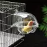 Cadă transparentă din plastic pentru baie de păsări cu prindere cu cârlig
