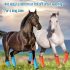 Set 4 bucăți Horses Fly Boots, protecție respirabilă din plastic pentru picioarele calului