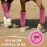 Set 4 bucăți Horses Fly Boots, protecție respirabilă din plastic pentru picioarele calului