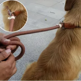   Lesă dresaj câini, frânghie lesă ajustabilă cu rezistență mare