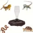 Distribuitor automat de apă pentru reptile