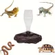 Distribuitor automat de apă pentru reptile