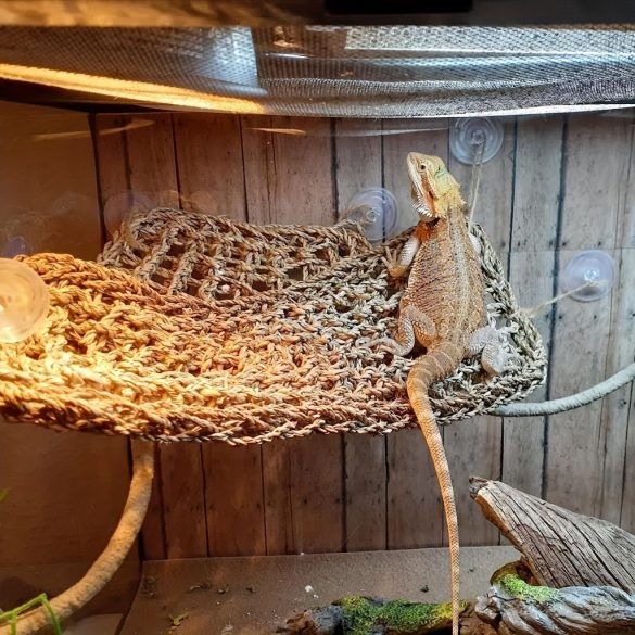 Hamac pentru reptile