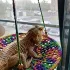 Hamac și leagăn pentru reptile la modă