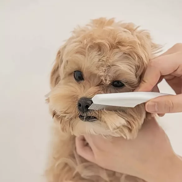 Perie pentru blana animalelor mici