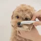 Perie pentru blana animalelor mici