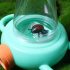 Lupă Manuală pentru Insecte - 5X Vizualizare Dublă Cutie Clară
