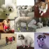 4 bucăți apărători pentru coate cu animăluțe drăguțe