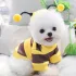 Costum Drăgălaș de Albină pentru Animăluțe