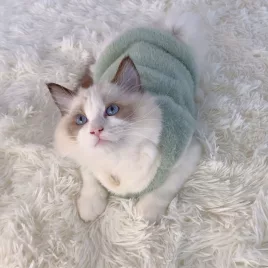 Vestă Adorabilă pentru Pisici de Toamnă și Iarnă