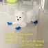 Cizmulițe impermeabile pentru cățeluși cu design antiderapant