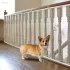 Poartă de protecție pentru animale de companie, 200 cm