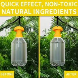 4 Capcane Reutilizabile pentru Muște