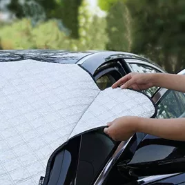 Protecție parbriz față