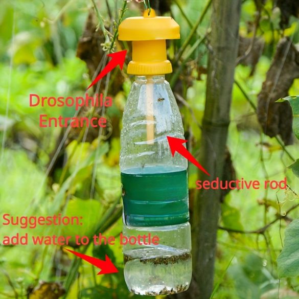 2 capace capcană de muște non-electrice