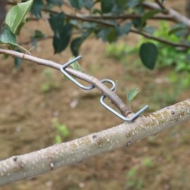   Set de unelte de grădinărit, 20 piese, dispozitiv durabil pentru îndoirea ramurilor de pomi fructiferi, instrument de modelare a creșterii plantelor