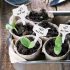 50 etichete durabile albe din plastic tip T pentru plante