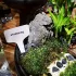50 etichete durabile albe din plastic tip T pentru plante