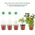 20 Bucăți Ghiveci Moale din Plastic Transparent pentru Plante