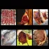 Geantă cu Plasă pentru Uscare carne și plante