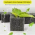 200 bureți pentru creșterea plantelor hidroponice