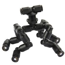 Păstrarea peștilor și reptilelor