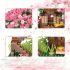 Set de construcție bonsai cireș
