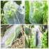 25 bucăți sac pentru cultivarea fructelor 20cmx30cm