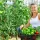 5 m rolă premium element de legătură vegetal reutilizabil din nailon