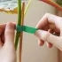 5 m rolă premium element de legătură vegetal reutilizabil din nailon