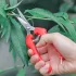 1 buc Foarfecă de Grădină Ergonomică Premium din Oțel Inoxidabil