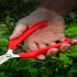 1 buc Foarfecă de Grădină Ergonomică Premium din Oțel Inoxidabil
