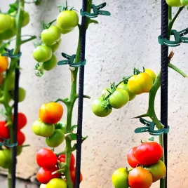 50 de cleme reglabile pentru plante