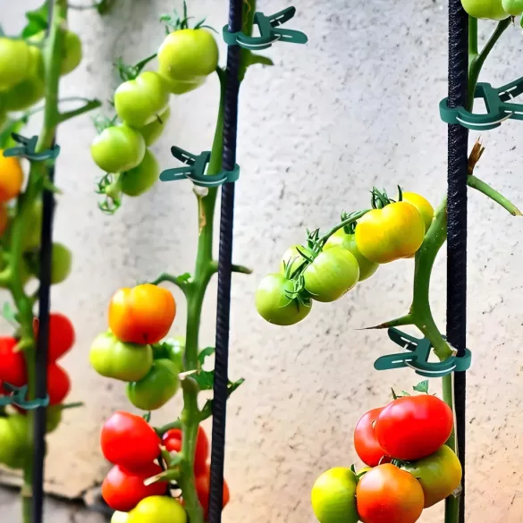 50 de cleme reglabile pentru plante