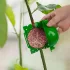 10 bile de înrădăcinare din plastic pentru plante