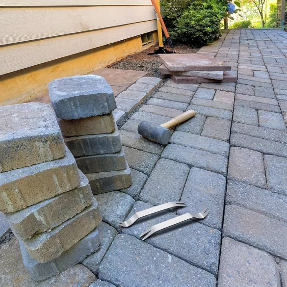 Set de 2 Unelte din Oțel Inoxidabil pentru Marinare