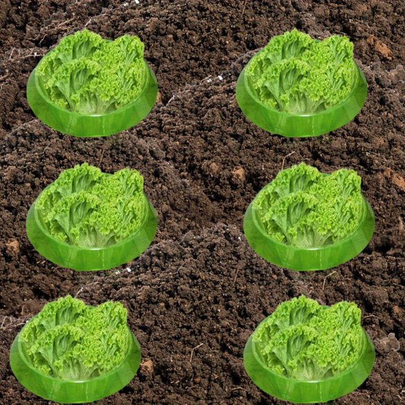 Gulere de protecție pentru plante împotriva melcilor