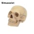 Model Anatomic Clasic Craniu 4D Asamblabil, 15 Bucăți