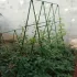 Set de 32 tije acoperite pentru fructe și legume