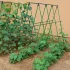 Set de 32 tije acoperite pentru fructe și legume