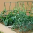 Set de 32 tije acoperite pentru fructe și legume