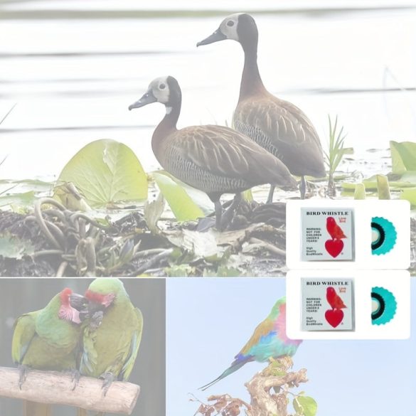 Fluier pentru păsări alb - 2 bucăți - Fluier pentru păsări