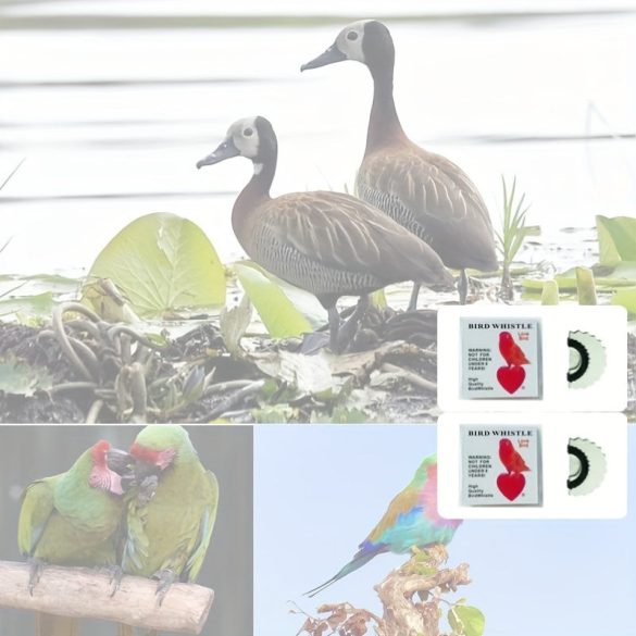 Fluier pentru păsări alb - 2 bucăți - Fluier pentru păsări