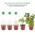 Set de 40 ghivece de plantare, cu capac etanș