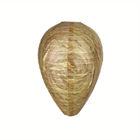 Capcană naturală pentru viespi